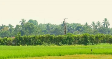 আখাউড়া সীমান্তে বিএসএফের গুলিতে বাংলাদেশি যুবক আহত