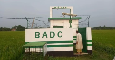 কৃষকের ভাগ্য বদলে দিল বিএডিসির সেচ প্রকল্প