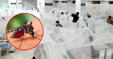 ডেঙ্গুতে মৃত্যু বেড়ে ১৭৯, স্বাস্থ্য অধিদপ্তরের সতর্কতা