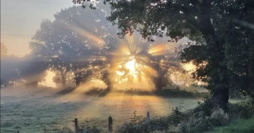 শোকের আবহে নতুনের বারতা নিয়ে এসেছে ২০২৬