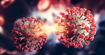 দেশে ২৪ ঘণ্টায় ১ জনের করোনা শনাক্ত