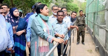 সাফারি পার্কে প্রাণী নিখোঁজ নিয়ে হুঁশিয়ারি পরিবেশ উপদেষ্টার