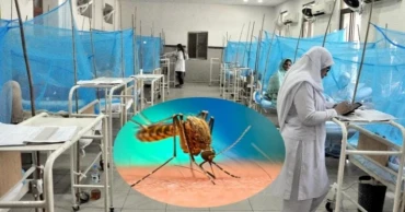 ডেঙ্গুতে মৃত্যু নেই, হাসপাতালে ৬১ রোগী