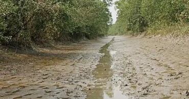 সুন্দরবনের আগুন নেভাতে জোয়ারের পানিই ভরসা, বাড়ছে ক্ষয়ক্ষতির পরিমাণ