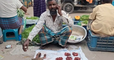 চাঁদপুরে প্রকাশ্যে শিয়ালের মাংস বিক্রি, ক্ষমা চাইলেন দিনমজুর