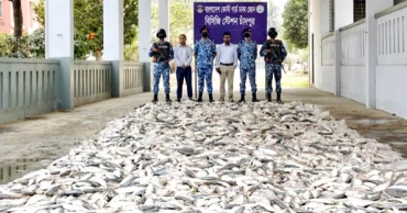 চাঁদপুরে ১২৭ মণ জাটকা জব্দ, ১০ জেলের কারাদণ্ড