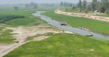 নদী শুকিয়ে চর জেগেছে, সবুজে ভরেছে ধরলা–বারোমাসিয়া