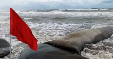 প্রতিকূল আবহাওয়ার নেতিবাচক প্রভাবে বিপর্যস্ত জনজীবন