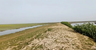 উদ্বোধনের ৩ সপ্তাহেও শুরু হয়নি কাজ, হাওরের বাঁধ নিয়ে বাড়ছে শঙ্কা