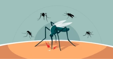 দেশে আরও ৩৫৭ জন ডেঙ্গু আক্রান্ত