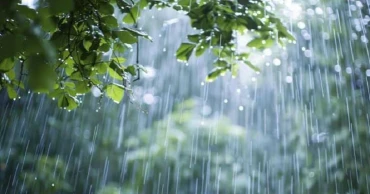 তিন বিভাগে বজ্রসহ বৃষ্টি হতে পারে