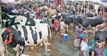 ইজারা বিজ্ঞপ্তির কার্যকারিতা স্থগিত, আফতাবনগরে পশুর হাট নয়: হাইকোর্ট