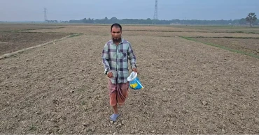 বৈরী আবহাওয়ায় ফরিদপুরে পাট উৎপাদনে বেড়েছে ব্যয়, শঙ্কায় চাষিরা