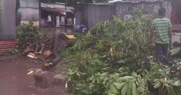 কুড়িগ্রামে কালবৈশাখীর তাণ্ডবে গাছপালা ও ঘরবাড়ি ক্ষতিগ্রস্ত, বোরো ধানে ব্যাপক ক্ষতি