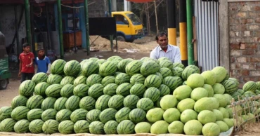 জৈন্তাপুরে তরমুজের বাম্পার ফলন, সেচ-পরিবহন সমস্যায় কৃষকরা