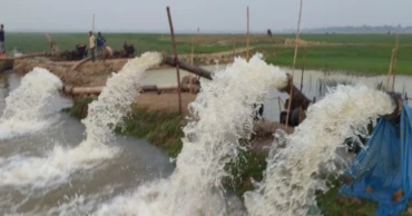 জামালগঞ্জে জলাশয় শুকিয়ে অবাধে মাছ নিধন, হুমকিতে জীববৈচিত্র্য