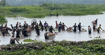 মৌলভীবাজারে দিনদুপুরে জলাশয় থেকে মাছ লুট