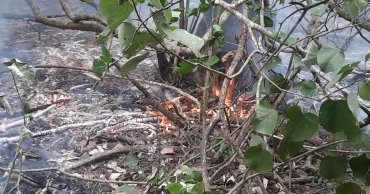 সুন্দরবনের আগুনের কারণ না জানাতে পারলেও ১৮ সুপারিশ কমিটির