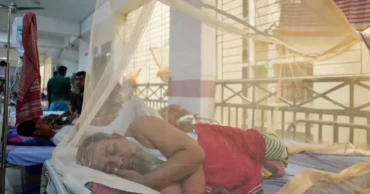 ডেঙ্গুতে ২৪ ঘণ্টায় ৫ মৃত্যু, হাসপাতালে ১,৩৬৬
