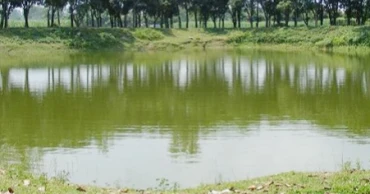 কুমিল্লায় পুকুরে ডুবে ২ বোনের মৃত্যু