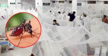 ডেঙ্গু: আরও দুইজনের মৃত্যু, হাসপাতালে ভর্তি ৫৭৩