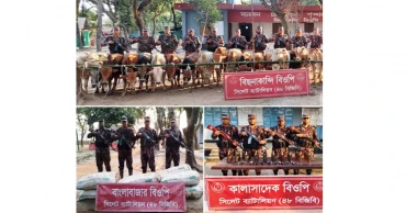 সিলেট সীমান্তে কোটি টাকার ভারতীয় পণ্য জব্দ