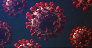 দেশে করোনায় আরও ২৮ জন আক্রান্ত