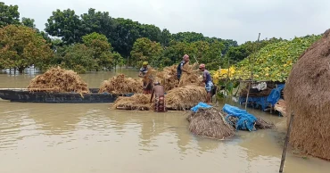চাঁপাইনবাবগঞ্জে পদ্মার পানি কমলেও বন্যা পরিস্থিতির উন্নতি নেই