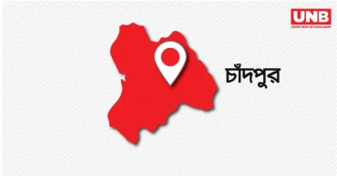 চাঁদপুরে ভিমরুলের কামড়ে স্বামীর মৃত্যু, স্ত্রী আইসিইউতে