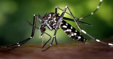 ডেঙ্গুতে আরও ১ জনের মৃত্যু, হাসপাতালে ১৪৮