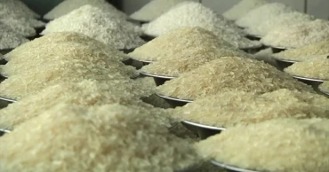 দুই সপ্তাহের মধ্যে চালের দাম কমবে: বাণিজ্য উপদেষ্টা