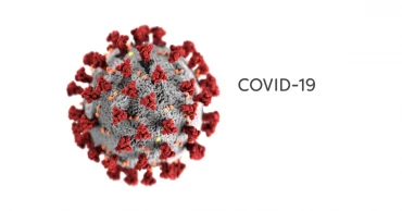 ২৪ ঘণ্টায় করোনায় মৃত্যু নেই, শনাক্ত ১