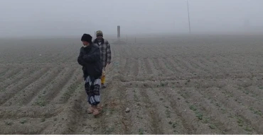 শীত ও কুয়াশায় বিপর্যস্ত লালমনিরহাট, চরম দুর্ভোগে জনজীবন