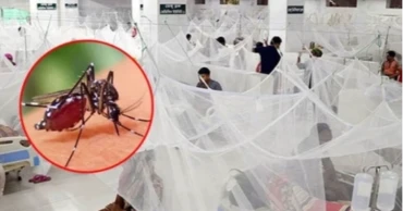 দেশে ২৪ ঘণ্টায় ১৩৮ জন ডেঙ্গু আক্রান্ত