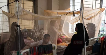 ডেঙ্গুতে ২৪ ঘণ্টায় ৮ মৃত্যু