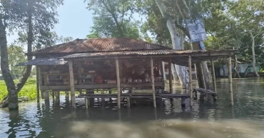 উজানের ঢলে পানি বাড়ছে তিস্তায়, লালমনিরহাটের নিচু এলাকায় প্লাবিত