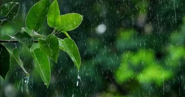 ঢাকাসহ আট বিভাগে বৃষ্টির সম্ভাবনা