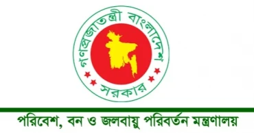 সাভারে ১১ অবৈধ বালু বিক্রির প্রতিষ্ঠানকে জরিমানা পরিবেশ অধিদপ্তরের