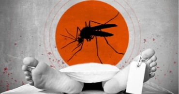 ২৪ ঘণ্টায় ডেঙ্গুতে মৃত্যু ১, হাসপাতালে ৭৯