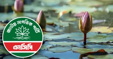 অবশেষে ‘শাপলা কলি’ নিতে রাজি এনসিপি