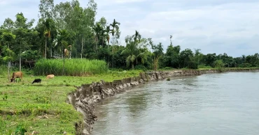 ধরলার ভাঙনে নিঃস্ব অর্ধশতাধিক, ঝুঁকিতে আরও পাঁচ শতাধিক পরিবার