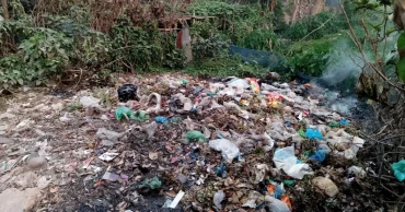 জাবিতে মশার উপদ্রবে অতিষ্ঠ শিক্ষার্থীরা, বেড়েছে ডেঙ্গু আক্রান্তের ঝুঁকি: কী ভাবছে প্রশাসন?