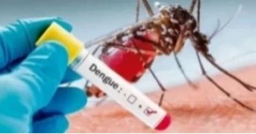 ডেঙ্গুতে আরও তিনজনের মৃত্যু, হাসপাতালে ভর্তি ৩৩১