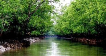 সুন্দরবনে ১৫ জেলে অপহরণ, তিন দিনেও খোঁজ নেই