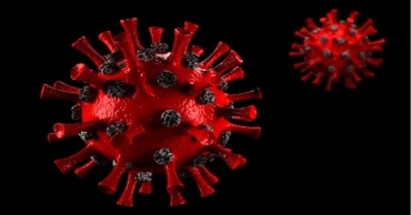 দেশে ২৪ ঘণ্টায় করোনায় আক্রান্ত ১, নমুনা পরীক্ষা ১৭