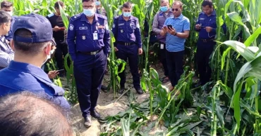 লালমনিরহাটে ভুট্টাখেত থেকে মাথাবিহীন নারীর লাশ উদ্ধার