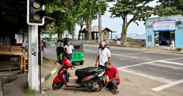 শ্রীলঙ্কাজুড়ে বিদ্যুৎ বিভ্রাট, বানরকে দায়ী করলেন মন্ত্রী