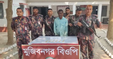 ১৮টি স্বর্ণের বার পাচারকালে ভারতীয় নাগরিক আটক