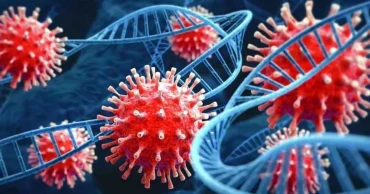 দেশে ২৪ ঘণ্টায় করোনায় আক্রান্ত ৩, নমুনা পরীক্ষা ৫