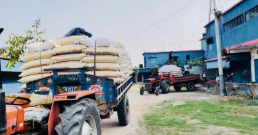 নওগাঁয় অবৈধ মজুদবিরোধী অভিযানে ২৯ টন চাল জব্দ